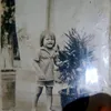19cauhai80