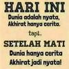 setiarief32