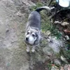 rashko.rashkov5