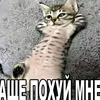 oibeskudnyaoi