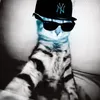 wherethehecklsjoe