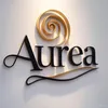 Aurea Renovation