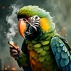 daen__75