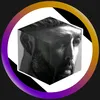 3D SHVYREV