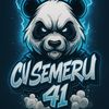 cvsemeru41