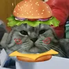giadinhmeo_1234