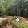 wilfytrek