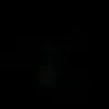 uria_122