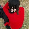anishabhat4