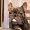 george_w.p