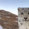 tabiplier