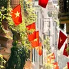 Gia Dụng Việt Xanh