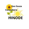 Geo Souza consultora Hinode