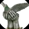 user7816343515240