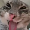 hola.._