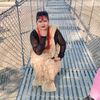 niraj.chy79
