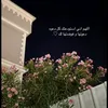 user1490481733812