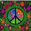 linda.bloom39