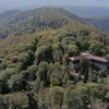 dario.erkez