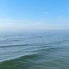 theoceangrovehouse