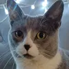 maggie.t231