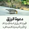 cheb.abdalleh