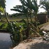 syaiful_020