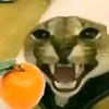mandarina_6661