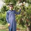 khankhan124456740