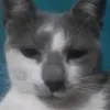 el.pepe9768