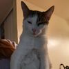 kyle_ashton1234