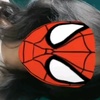 spider_womanam