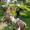 gnt.agil.nfl.fnd_