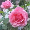 youssef.ouadda