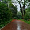 nafijaahmed72