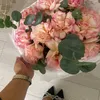 ayl_006