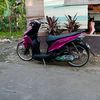 .dika.ajah