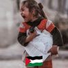 yahia.walid3