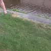 heheohhh