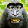 gorilla4782