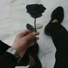 al._.hashmy