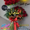 qaisar9163