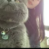 trinhsmj22o