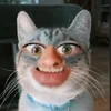 miauxxxd