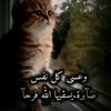 ahmad.hag7