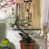 minh.tq04