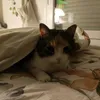 nazka_7l