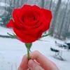 user8861268597487