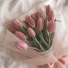 sara_habashy4