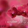 user7111117563345